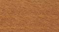 TEAK